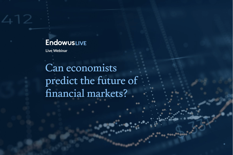 Webinar: Can economists predict the future of financial markets?